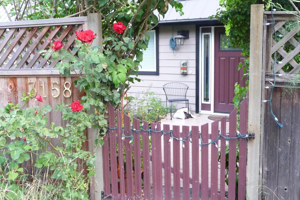 Cycle Inn Bed And Breakfast Langford Exterior foto